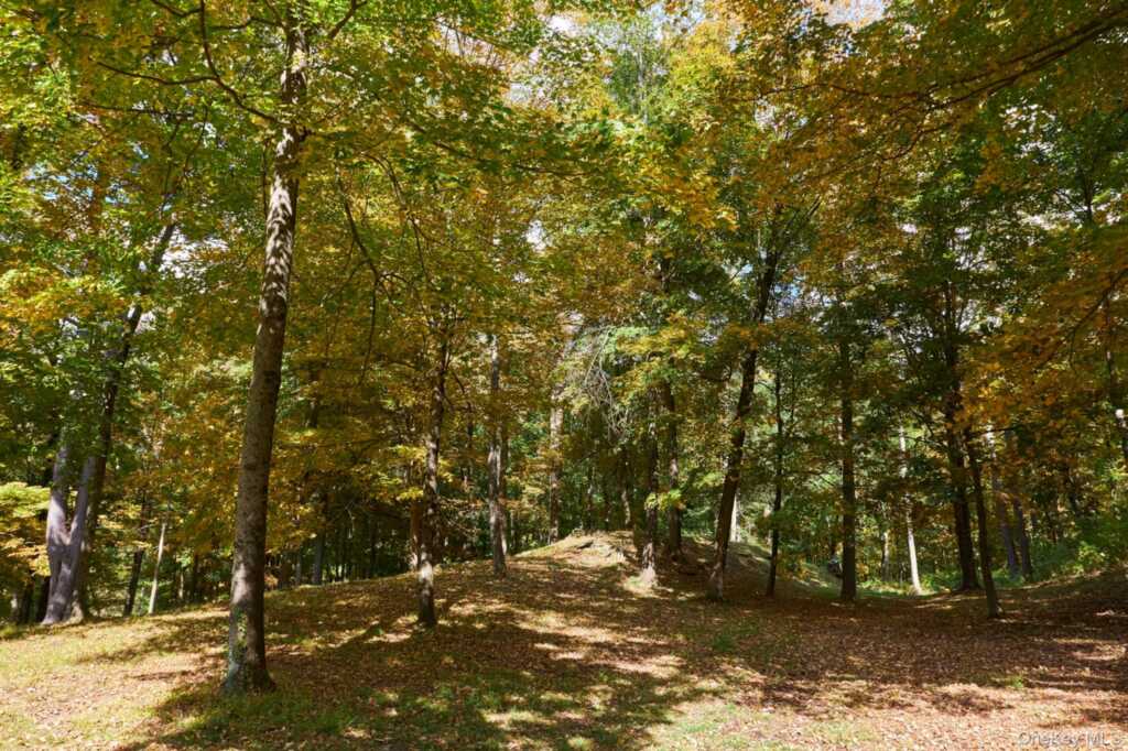 10 Old Primrose Hill, Rhinebeck, NY 12572 - Photo 14 of 22