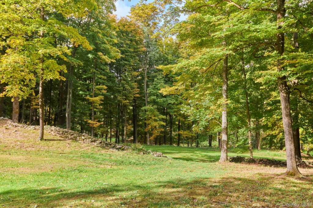 10 Old Primrose Hill, Rhinebeck, NY 12572 - Photo 19 of 22