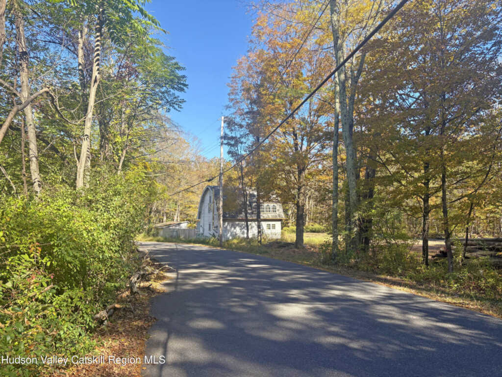 424 High Falls Road, Saugerties, NY 12477 - Photo 16 of 20