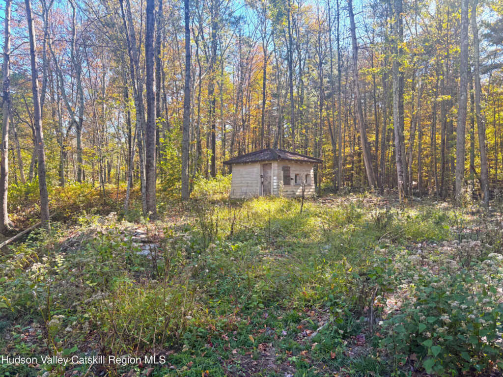424 High Falls Road, Saugerties, NY 12477 - Photo 20 of 20