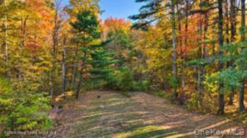 141 Nelson Hoff Road, Saugerties, NY 12477 - Photo 11 of 13