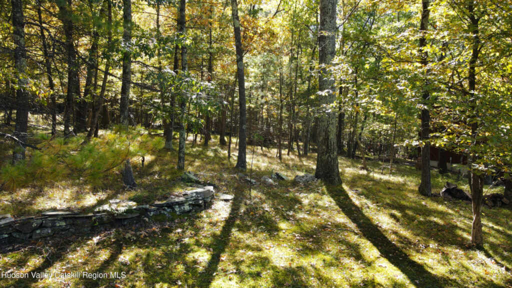 5 Laurel Court, Saugerties, NY 12477 - Photo 11 of 50