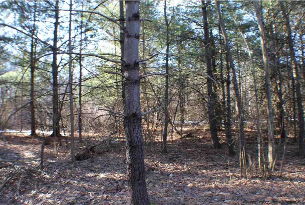 58 Dashville Road, New Paltz, NY 12561 - Photo 27 of 29